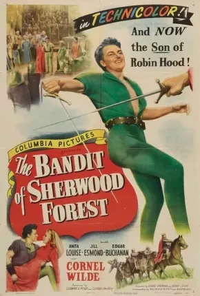 O Filho de Robin Hood Dublado e Dual Áudio  DVDRip DVD-R 1080p – Download [1946]