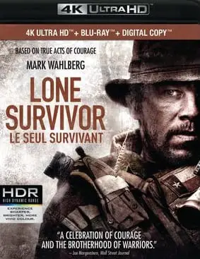 O Grande Herói 4K Dublado e Dual Áudio Torrent BluRay 4K – Download [2014]