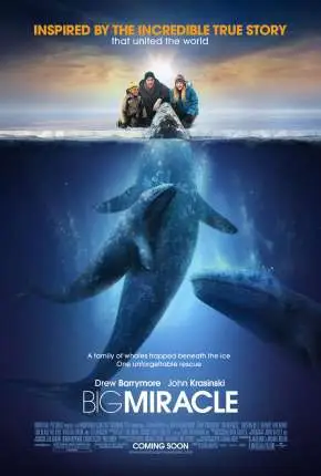 O Grande Milagre - Big Miracle Dublado Torrent BluRay 720p - Download