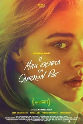 O Mau Exemplo de Cameron Post Dublado e Dual Áudio Torrent BluRay 720p 1080p - Download