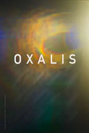 Oxalis - Legendado  Torrent 720p 1080p - Download