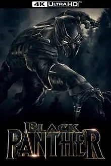 Pantera Negra 4K Dublado e Dual Áudio Torrent BluRay 4K – Download [2018]