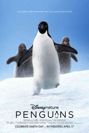 Penguins – Legendado  Torrent 720p 1080p – Download [2019]
