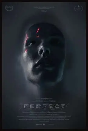 Perfect – Legendado  Torrent 720p 1080p – Download [2020]