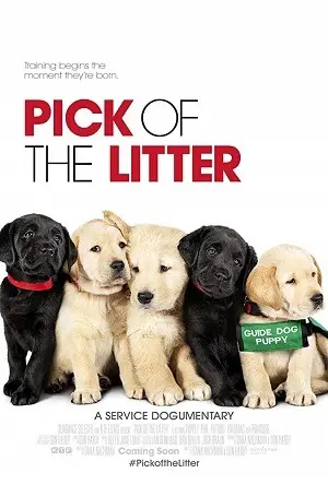 Pick of the Litter – Legendado  Torrent 720p 1080p – Download [2018]