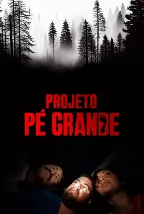 Projeto Pé Grande Dublado e Dual Áudio Torrent 1080p – Download