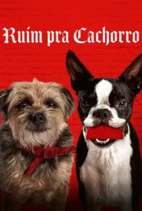 Ruim Pra Cachorro – Legendado  Torrent 720p 4K 1080p – Download
