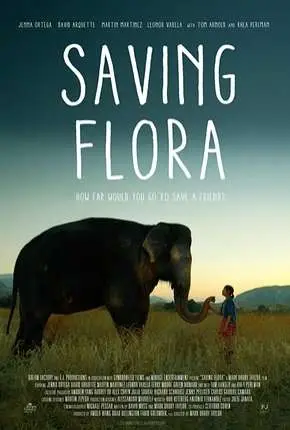 Saving Flora - Legendado  Torrent 720p 1080p - Download