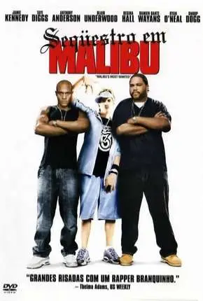 Seqüestro em Malibu Dublado e Dual Áudio Torrent BluRay 1080p – Download [2003]
