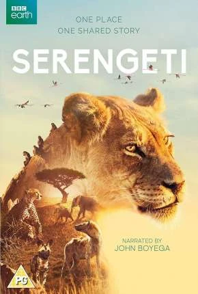 Serengeti – 2ª Temporada Completa Legendada  Torrent 720p 1080p – Download