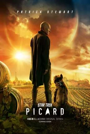 Star Trek – Picard – 1ª Temporada Dublada e Dual Áudio Torrent 720p 1080p – Download