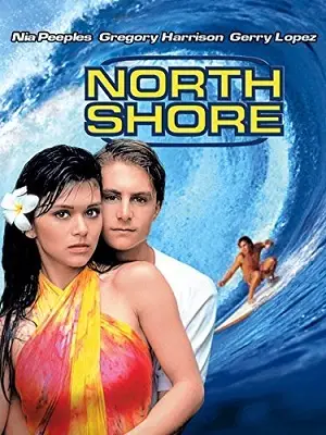 Surf no Hawaí Dublado e Dual Áudio Torrent BluRay 1080p – Download [1987]