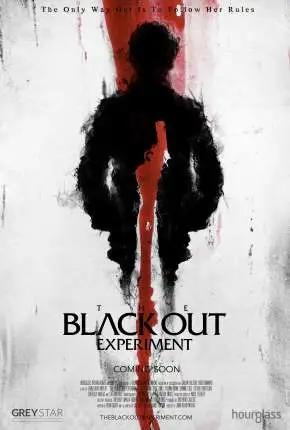 The Blackout Experiment - Legendado  Torrent 1080p - Download