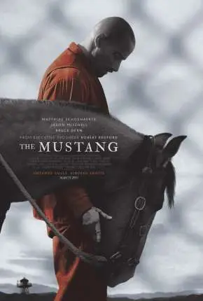 The Mustang Dublado e Dual Áudio Torrent BluRay 720p 1080p - Download