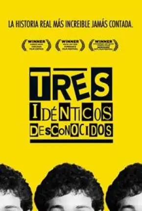 Três Estranhos Idênticos Dublado e Dual Áudio Torrent BluRay 720p 1080p – Download [2018]