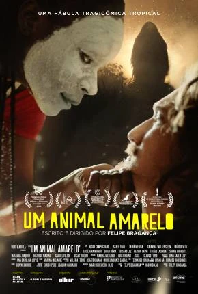 Um Animal Amarelo Nacional Torrent 1080p – Download
