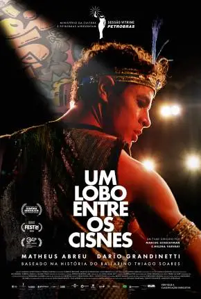 Baixar Filme Um Lobo Entre os Cisnes Nacional Torrent 1080p – Download [TORBRASIL]