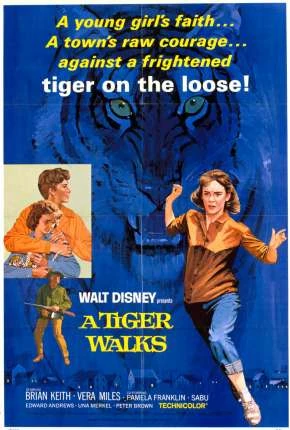 Um Tigre Caminha pela Noite Dublado e Dual Áudio  DVDRip DVD-R – Download [1964]