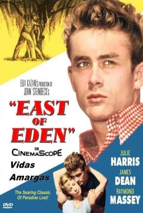 Vidas Amargas Dublado e Dual Áudio  BluRay 1080p – Download [1955]