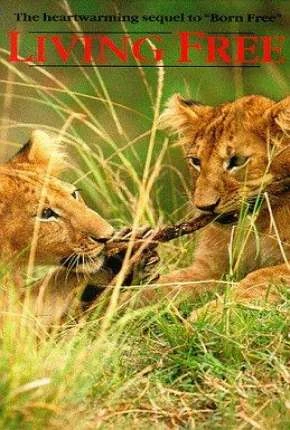 Vivendo Livremente Dublado e Dual Áudio  DVDRip DVD-R 1080p – Download [1972]