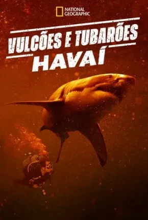Vulcões e Tubarões: Havaí Dublado e Dual Áudio Torrent 1080p – Download